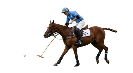 A Male Polo Player on Horseback Leaning Out to Strike the Ball with a Mallet on isolated transparent background.
