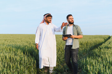 Arab businessman and farmer discussing in wheat field