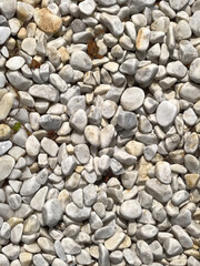 Smooth white pebbles arranged in natural harmony on a sunny day