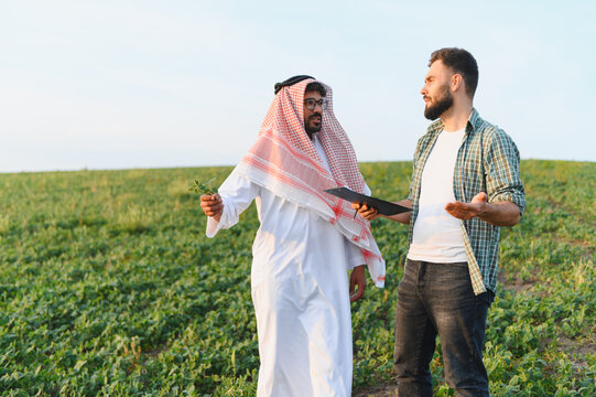Arab businessman and farmer discussing crops in cultivated field
