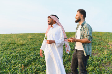 Arab businessman and farmer walking and talking in cultivated field