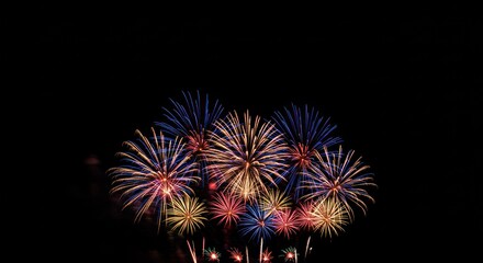 A vibrant display of fireworks exploding in the night sky, creating colorful bursts of light.