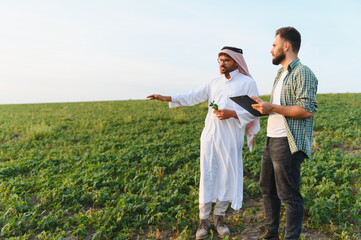Arab businessman and farmer discussing in cultivated field