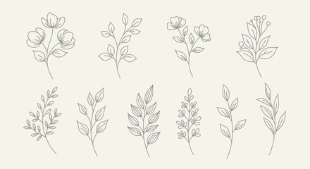 Elegant Floral Line Art Collection.