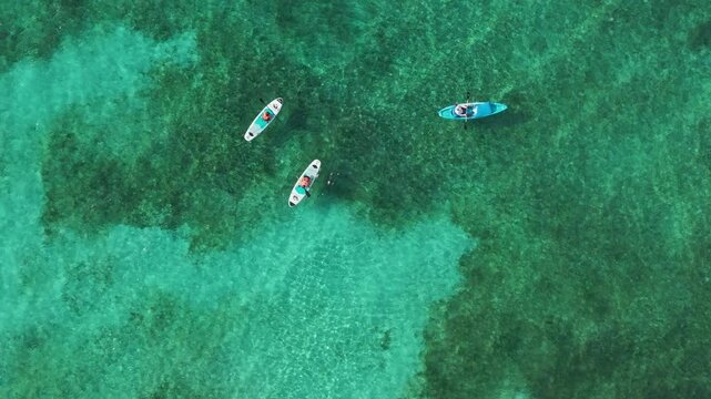 Experience the stunning beauty of Cozumel, Mexico, with its sparkling turquoise waters and diverse marine life, making it a perfect tropical paradise for adventurous travelers seeking excitement