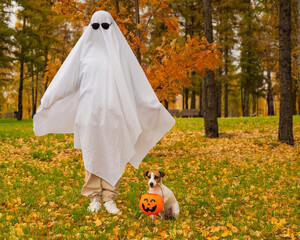Woman in white sheet and jack russell terrier dog holding jack o latrine in autumn forest....
