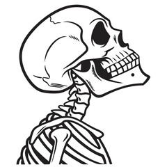 Stylized black and white illustration of a human skull and upper torso skeleton