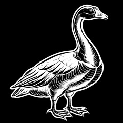 Detailed black and white illustration of a canada goose standing on a black background