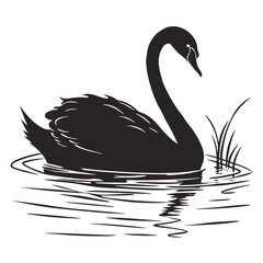Elegant black swan silhouette gracefully swimming on rippling water