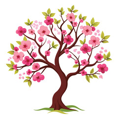 Fototapeta premium American plum bloomed Tree