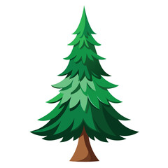 spruce tree