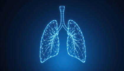 A digital illustration of a human lung system, rendered as a network of interconnected lines and points.