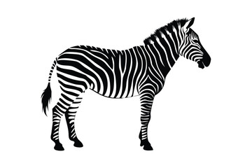 Fototapeta premium Black and white silhouette of a zebra standing animal