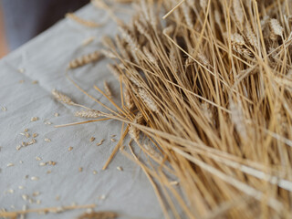 Wheat stalks on linen cloth with scattered grains showing natural harvest abundance and texture