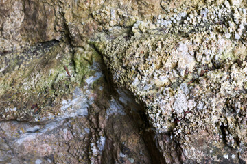 texture of a rock