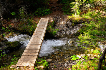 Little wooden boardwalk bridge over the mountain stream in the hiking trail in the summer woods.