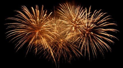 Obraz premium Golden fireworks burst against black night