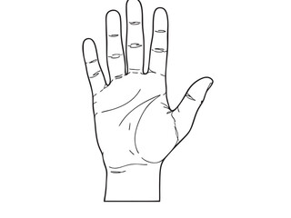 Isolated vector drawing of an open hand. Palm reading and palmistry concepts, design element