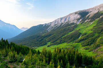Beautiful nature scene in mountains, alpine meadows and forests on slopes in summertime in golden...