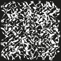 Abstract grunge texture. Chaotic distressed pattern. Black white Vector. Modern graphic background.