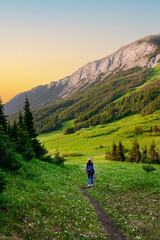 Fototapeta premium Beautiful scene in mountains, hiker woman is walking on trail in alpine meadows among slopes and forests in summertime in golden hour warm light. Tumbler Ridge geopark (Windfall lake), BC, Canada