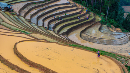 	
Hmong farmers prepare their fields and plant rice on terraced fields in Mu Cang Chai, Yen Bai....
