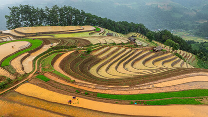 	
Hmong farmers prepare their fields and plant rice on terraced fields in Mu Cang Chai, Yen Bai....
