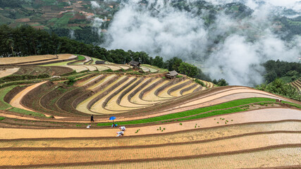 	
Hmong farmers prepare their fields and plant rice on terraced fields in Mu Cang Chai, Yen Bai....