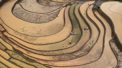 	
Hmong farmers prepare their fields and plant rice on terraced fields in Mu Cang Chai, Yen Bai....