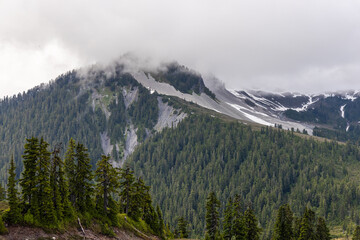 Scenic Mountain View During Elfin Lakes Hike in Squamish, BC, Canada