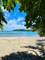 Framed by Paradise