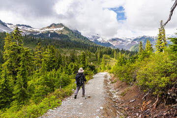 Hiking Trail Amid Scenic Mountain Landscape in Squamish, British Columbia, Canada