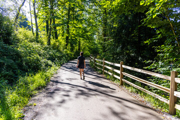 Person Walking on Forest Trail with Wooden Fence in Sunny Port Moody