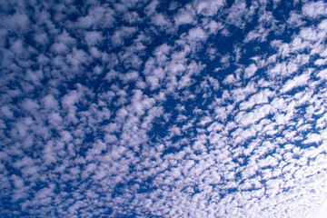 Beautiful cloudscape White clouds and blue sky