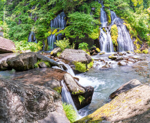 八ヶ岳山麓深緑の吐竜の滝