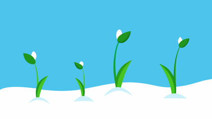 Witness the First Green Shoots of Spring Pushing Through the Snow