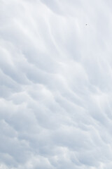 Rain clouds in the sky