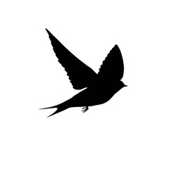 Obraz premium Silhouette of flying bird in black, minimal vector illustration