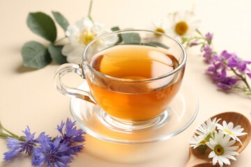 Aromatic herbal tea in glass cup and different flowers on beige background, closeup
