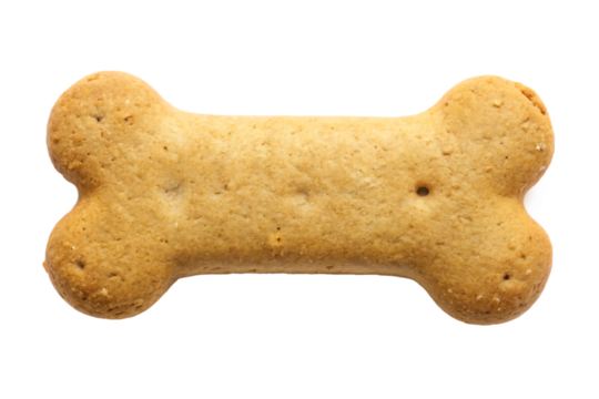 Single bone shaped dog biscuit with textured surface and small holes isolated on a transparent background 1