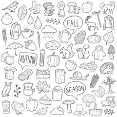 Fall Season Autumn Doodle Icons. Hand Made vector illustration sketch.