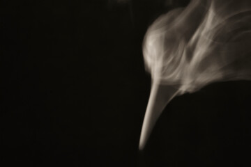 Abstract figure created by white smoke on an isolated black background to stimulate the subconscious with truly beautiful shapes