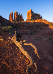 Cathedral Rock at sunrise in Sedona, Arizona. 