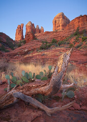 Cathedral Rock at sunrise in Sedona, Arizona. 