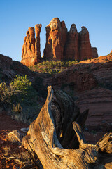 Cathedral Rock at sunrise in Sedona, Arizona. 