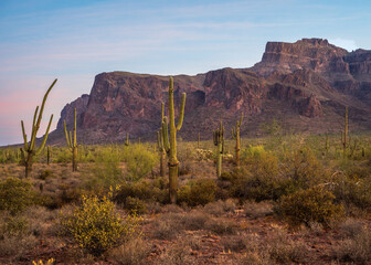 Superstition Mountains at sunrise on the Broadway Trail in Apache Junction, Arizona