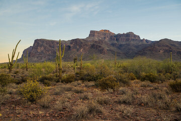 Superstition Mountains at sunrise on the Broadway Trail in Apache Junction, Arizona. 