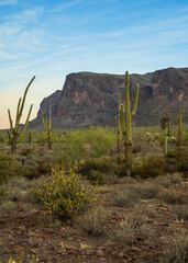 Superstition Mountains at sunrise on the Broadway Trail in Apache Junction, Arizona