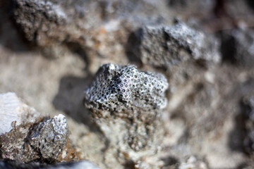 Coral fossils on the shores of Mexico (Playa Del Carmen). Beautiful patterns and textures.