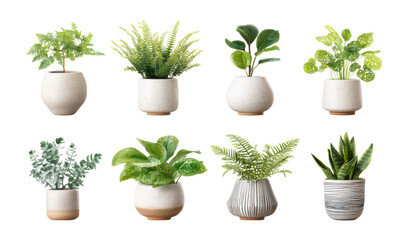 Nine potted plants in various styles